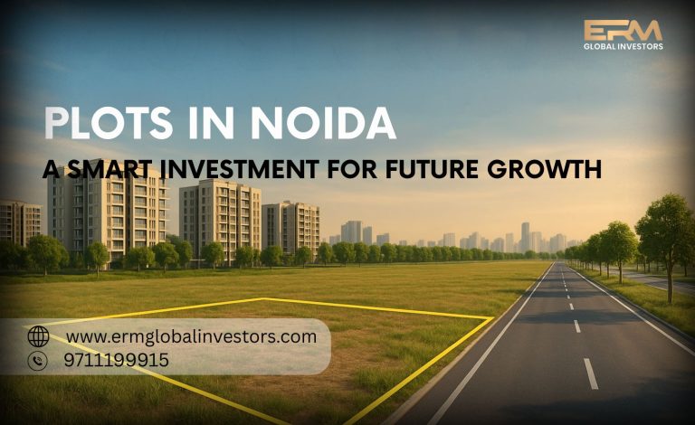 plots in noida investment