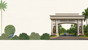 plot near dwarka expressway