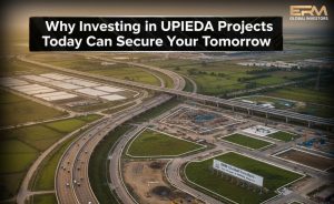 investing in upeida projects