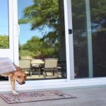 glass dog door installation