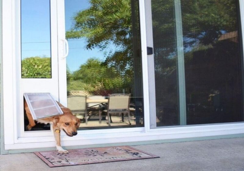 glass dog door installation