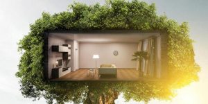 sustainable development