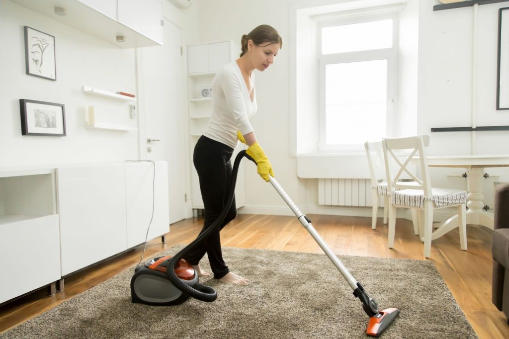 professional carpet cleaning service
