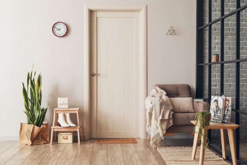 flush door century