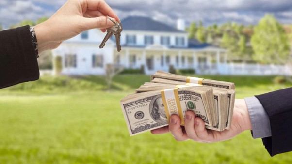 buy homes