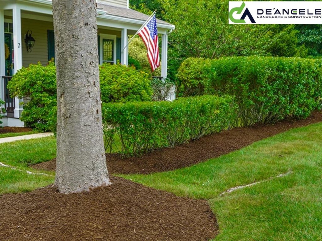 landscaping company east bridgewater